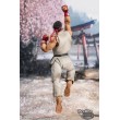 [PRE-ORDER] Street Fighter S.H.Figuarts Ryu Outfit 2