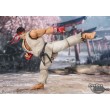 [PRE-ORDER] Street Fighter S.H.Figuarts Ryu Outfit 2