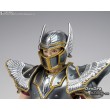 [PRE-ORDER] Saint Cloth Myth EX Pegasus Seiya -Knights of the Zodiac-